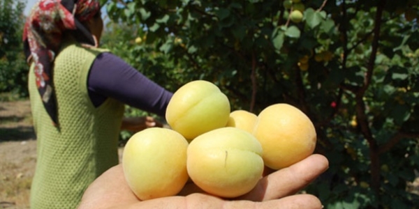 T��K kay�s� 'var', �retici 'yok' diyor