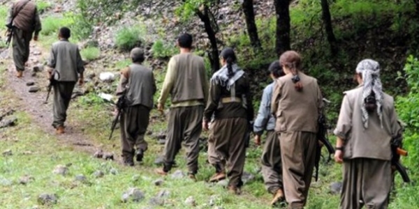 8 PKK'lı daha teslim oldu