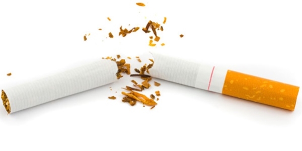 Dnyada her yl 6 milyon kii sigaradan lyor