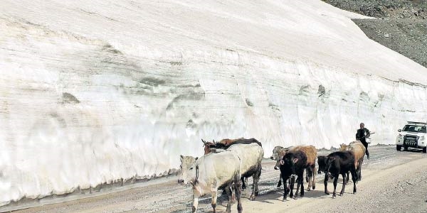 Yaza girerken Muş'ta 3 metrelik kar yığını