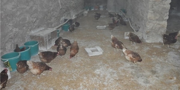 Memur olamad� �iftlik sahibi oldu