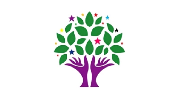 HDP'nin ilk defa vekil çıkardığı iller