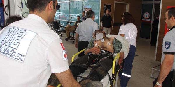 Arının soktuğu bal üreticisi hastanelik oldu