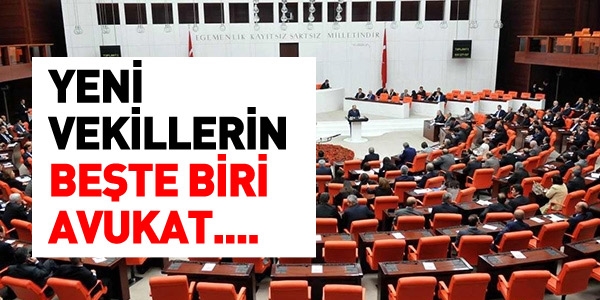 Yeni vekillerin beşte biri aynı meslekten...