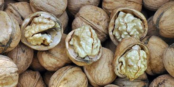 Yar�m avu� f�nd�k-f�st�k erken �l�m riskini %23 azalt�yor