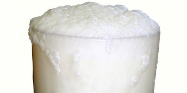 Türkiye, 5 yılda 16 ülkeye ayran ihraç etti