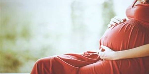 Sebze, meyve ve bakliyat do�urganl��� art�r�yor