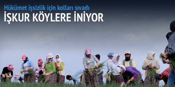 Hükümet, genç istihdamını artırmak için kolları sıvadı