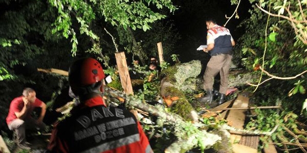 Kastamonu'da üzerine ağaç devrilen orman işçisi öldü