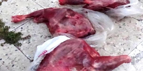 Kaçak avcıya 17 bin lira ceza kesildi