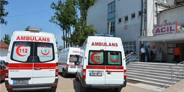 Sivas'ta kiraz ağacından düşen çocuk yaralandı