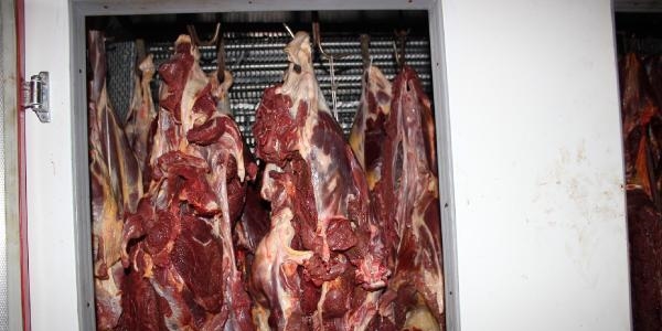 1.5 ton at eti ele ge�irildi!