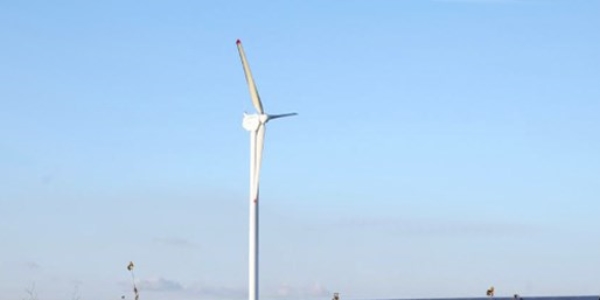 Türkiye'nin en büyük hibrit enerji santralini kurdu