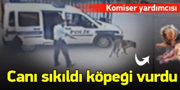 Vali Toprak: Kpee kar atlan kurun kendi kalbimizdedir