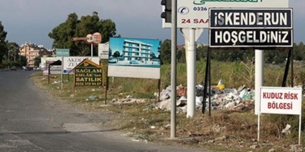 Hatay'da kuduz karantinas�