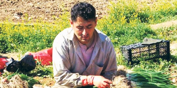 '1000 liraya öğretmeniz, bizi unutmayın'