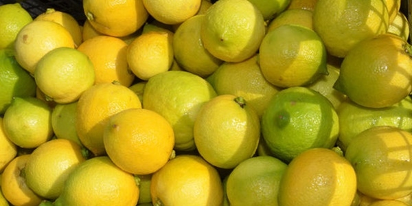 Haziranda en ok limonun fiyat artt