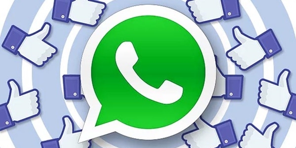 WhatsApp'a beğenme butonu geliyor