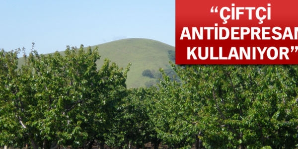 Napolyon kirazı para etmedi