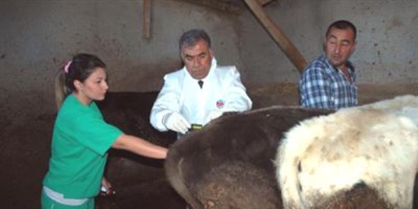 Kamu Dışında Görevli Veteriner Hekimlerin Çalışma Usul ve Esaslarına Dair Tebliğ