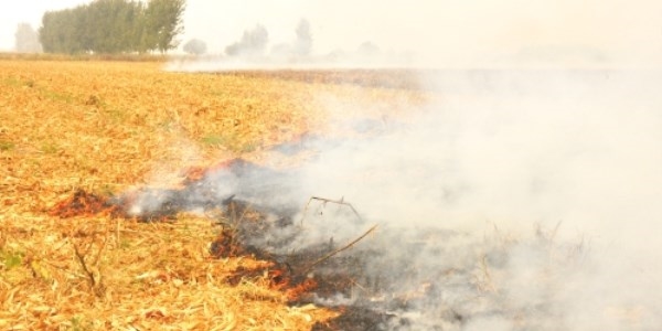 An�z yakan �ift�i gelece�ini de yak�yor