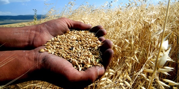 Tar�mda sigorta bilinci art�yor