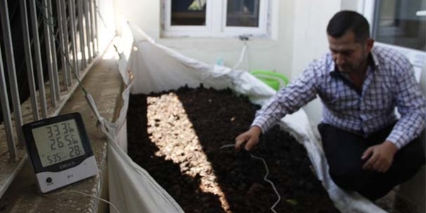 Balkonunda 70 bin solucan besliyor