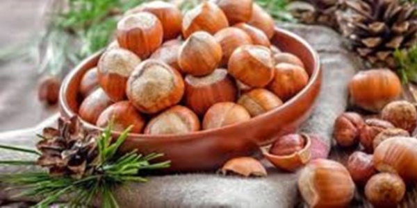 Giresun'da hasat edilen fındıklar tezgaha indi