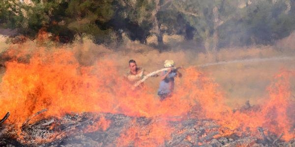 �niversitenin arazisini piknik�iler mi yakt�?