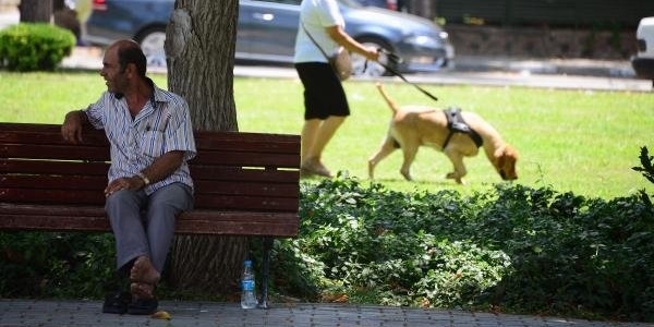 Uşak'ta hava sıcaklığı 43 dereceye ulaştı
