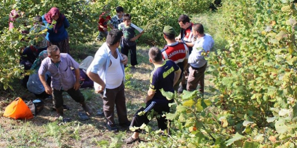 Zonguldak'ta tarım aracı devrildi: 6 yaralı