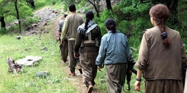 Şırnak'ta 7 terörist teslim oldu