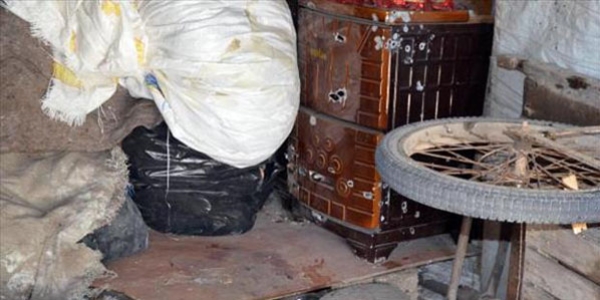 Ağrı'da öldürülen 3 PKK'lıdan 2'si kardeş çıktı