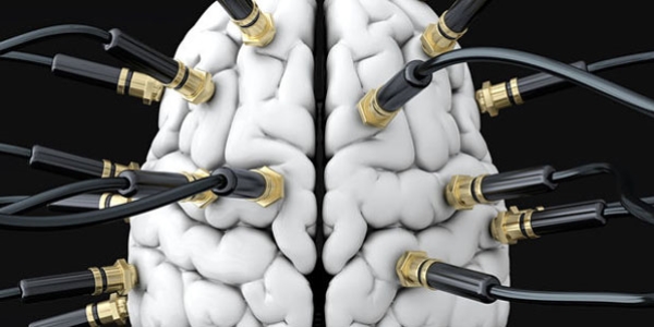Bilim adamlar beyni kontrol etmeyi baard