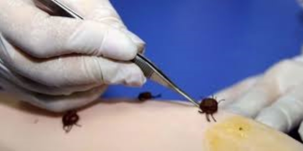 KKKA ��phesi ile �len 2 ki�i Yozgat'ta topra�a verildi