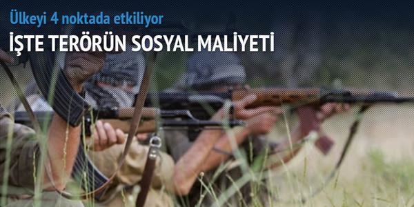 Terrn sosyal maliyeti