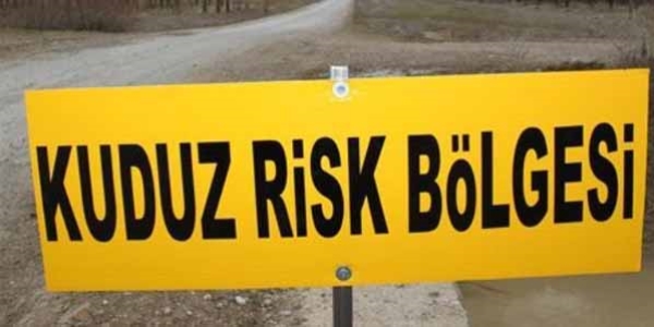 Şanlıurda'da bir mahalle kuduz karantinasına alındı