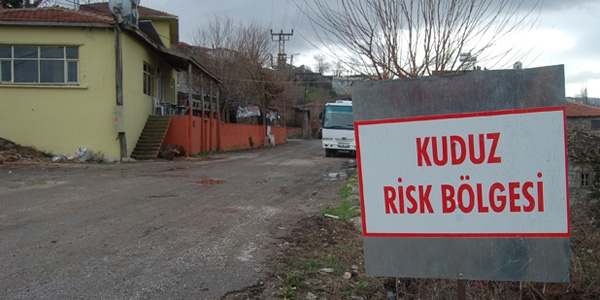 Siverek'te kuduz şüphesiyle bir köy karantinaya alındı