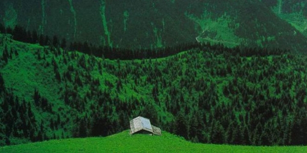Karadeniz'in faydaları saymakla bitmiyor
