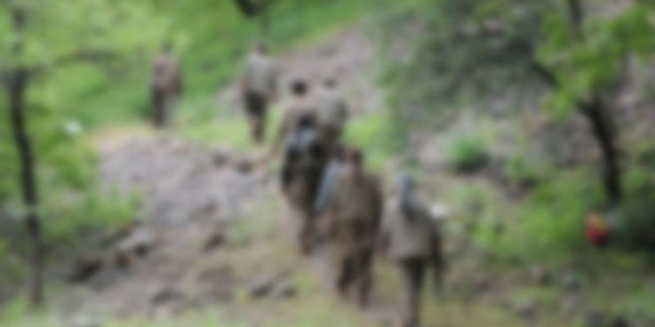 Silopi'de çatışma: 1 PKK'lı öldürüldü