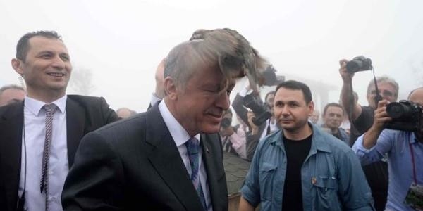 Cumhurba�kan� Erdo�an'�n ba��na keklik kondu