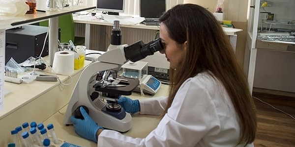 Edirne'de arbon panii