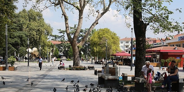 Gölcük yıkıntılar arasında yeniden filizlendi