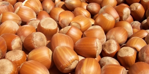 Fiyatı sezona 12 liradan başladı