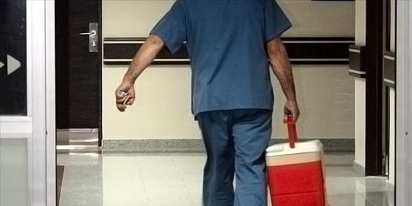 Organ nakli cilt kanserine yol açabilir
