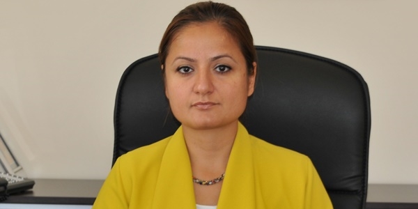 Hasta çocuğu almaya giden ambulansa saldırı