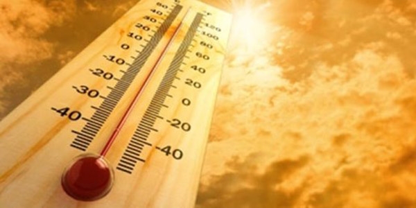 Ar scaklar yeni hastalklarn habercisi