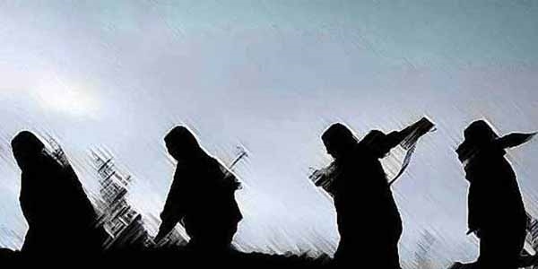 Çukurca'da 2 PKK'lı teslim oldu
