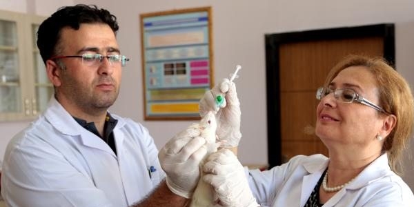 Türk doktorlar bor ile tümörü tedavi edecek yöntem buldu
