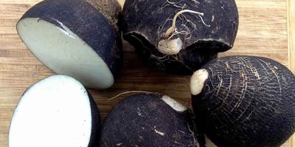 Kara turp böbrek taşı oluşumunu önlüyor